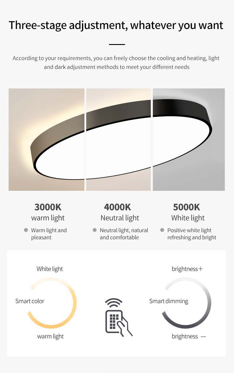 product-PNY-291B large disc ceiling light-img